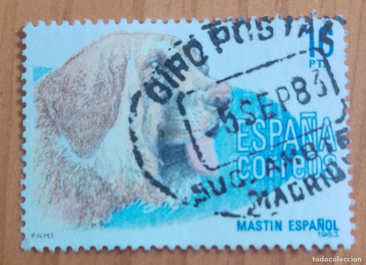Sellos: ESPA&Ntilde;A,A&Ntilde;O 1983, EDIFIL 2712 - MASTIN, PERRO - MATASELLO IDENTIFICATIVO: 5 SEP 83 MADRID
