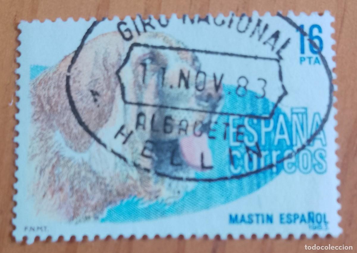 Sellos: ESPA&Ntilde;A,A&Ntilde;O 1983, EDIFIL 2712 - MASTIN, PERRO - MATASELLO IDENTIFICATIVO: 11 NOV 83 HELLIN, ALBACETE