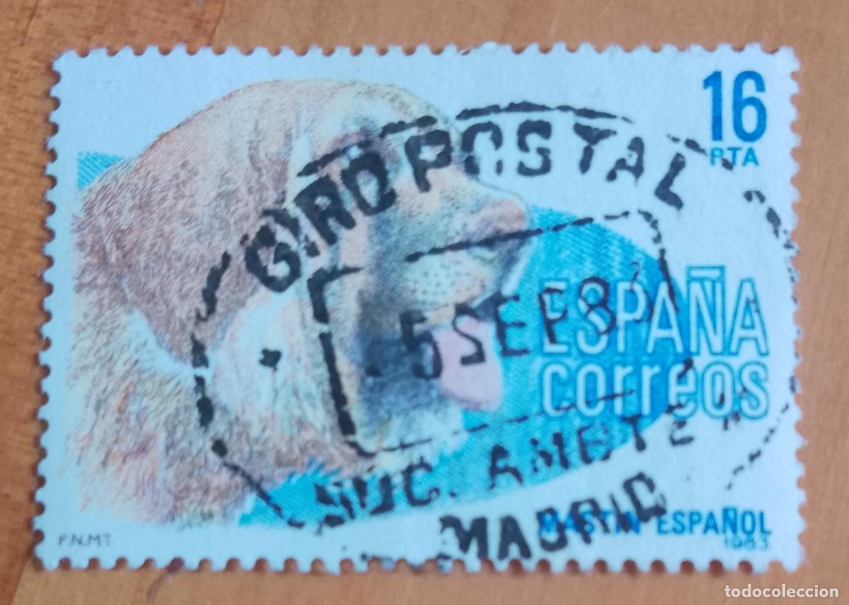 Sellos: ESPA&Ntilde;A,A&Ntilde;O 1983, EDIFIL 2712 - MASTIN, PERRO - MATASELLO IDENTIFICATIVO: 6 SEP 83 MADRID