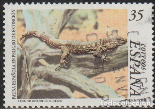 Sellos: Espa&ntilde;a 1999 Edifil 3614 Sello &ordm; Fauna Espa&ntilde;ola en peligro extinci&oacute;n Lagarto gigante de El Hierro