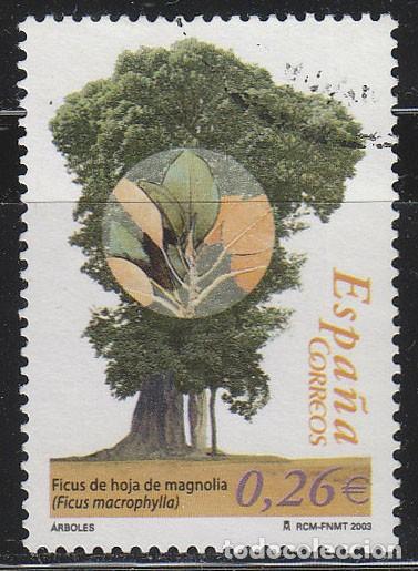 Sellos: EDIFIL 4023, ARBOLES MONUMENTALES: LA TERRONA EN MONTANCHEZ (C&Aacute;CERES), USADO