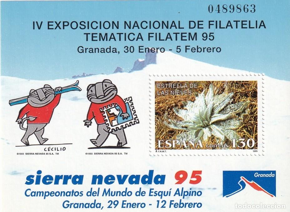 Sellos: HB Hoja bloque - Filatem 95 Sierra Nevada Granada - Campeonato del Mundo Esqu&iacute; Alpino