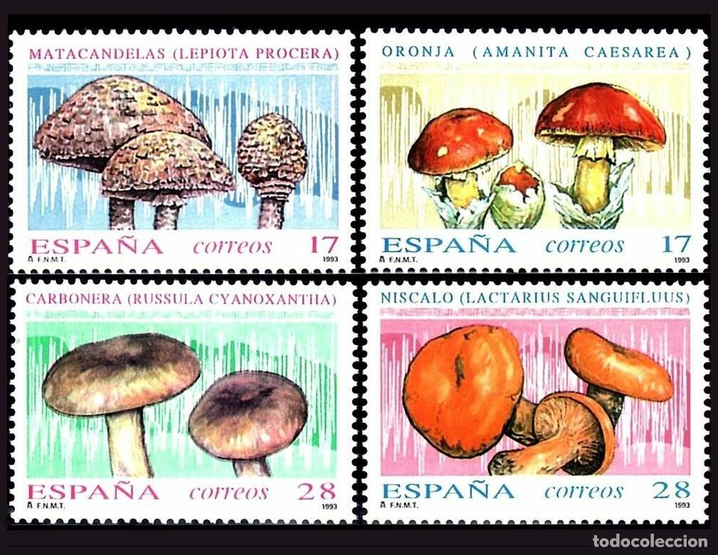 Sellos: 4v Espa&ntilde;a, 1993 | Setas / Mushrooms | Ed: 3244/7, Yv: 2837/40, Mi: 3102/5 MNH **