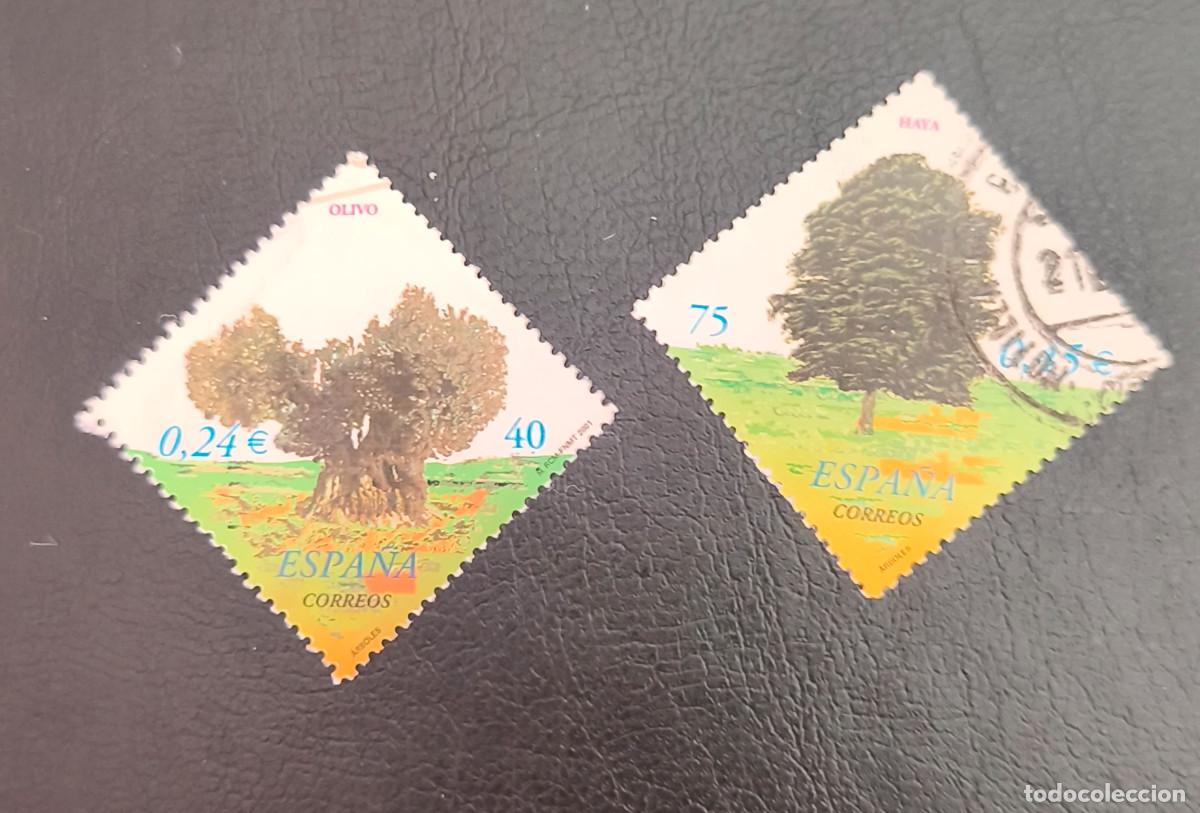 Sellos: Espa&ntilde;a 2001 &Aacute;rboles Edifil 3803/3804 serie completa