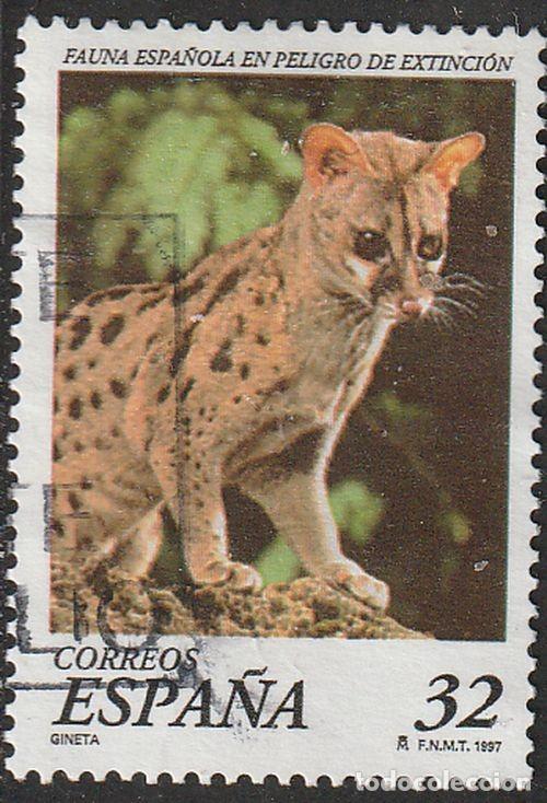 Selos: Espa&ntilde;a 1997 Edifil 3469 Sello &ordm; Fauna en Peligro Extinci&oacute;n Gineta (Genetta Genetta) Michel 3312