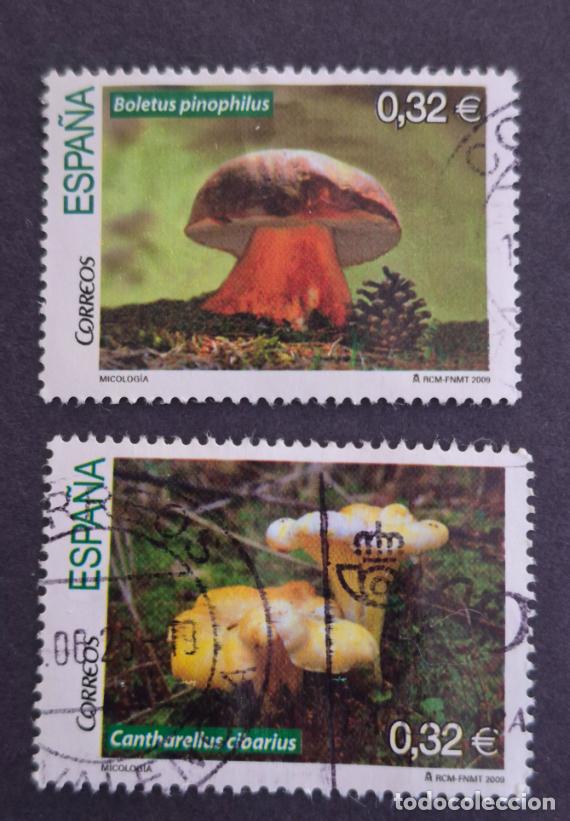 Sellos: Espa&ntilde;a 2009 - Micolog&iacute;a, serie completa (Edifil 4517/8 &ordm;)