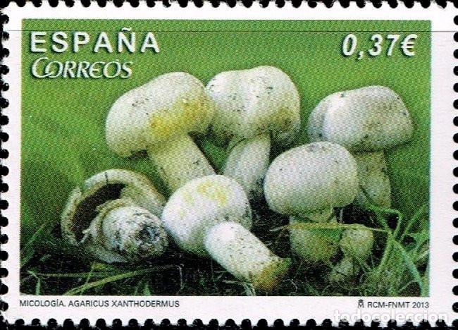 Sellos: Edifil 4822 MNH Micologia Agaricus Xanthodermus SIN FIJA SELLO Espa&ntilde;a 2013