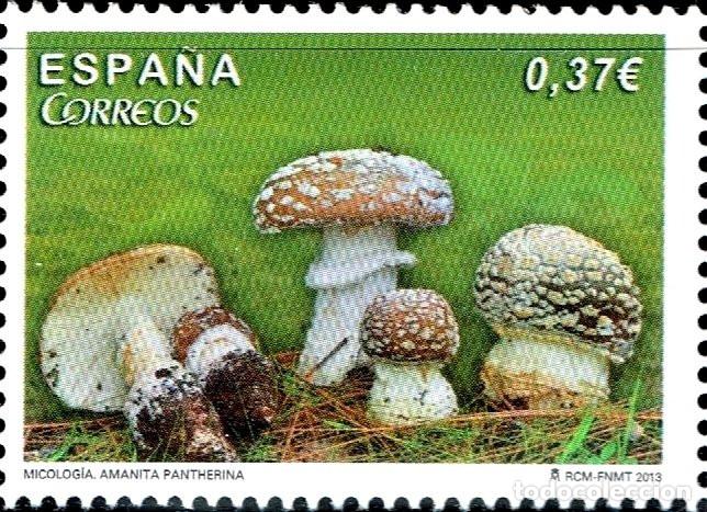Sellos: Edifil 4823 MNH Micologia Amanita Pantherina SIN FIJA SELLO Espa&ntilde;a 2013