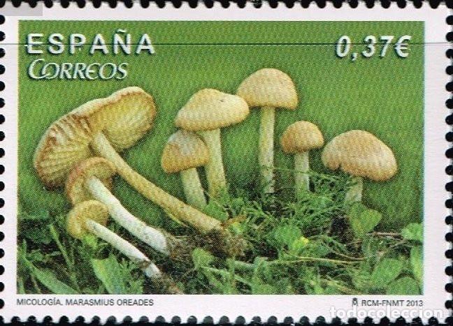 Sellos: Edifil 4824 MNH Micologia Marasmius oreades SIN FIJA SELLO Espa&ntilde;a 2013