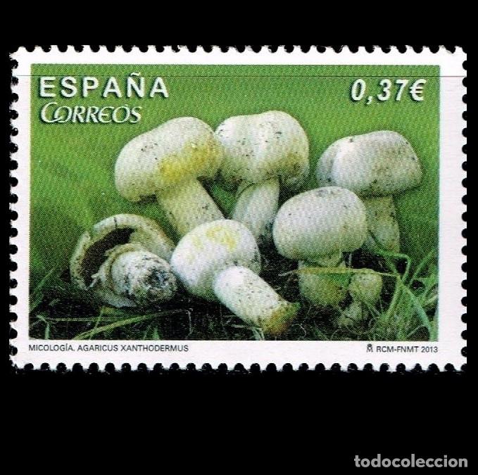 Sellos: Edifil 4822 MNH Micologia Agaricus Xanthodermus SIN FIJA SELLO Espa&ntilde;a 2013