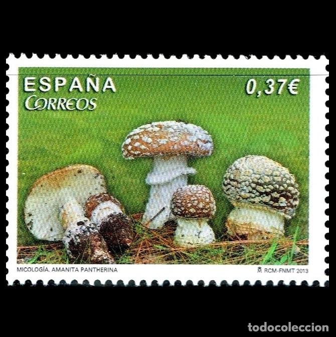 Sellos: Edifil 4823 MNH Micologia Amanita Pantherina SIN FIJA SELLO Espa&ntilde;a 2013