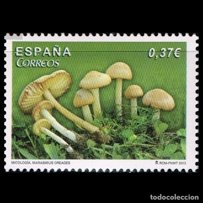 Sellos: Edifil 4824 MNH Micologia Marasmius oreades SIN FIJA SELLO Espa&ntilde;a 2013