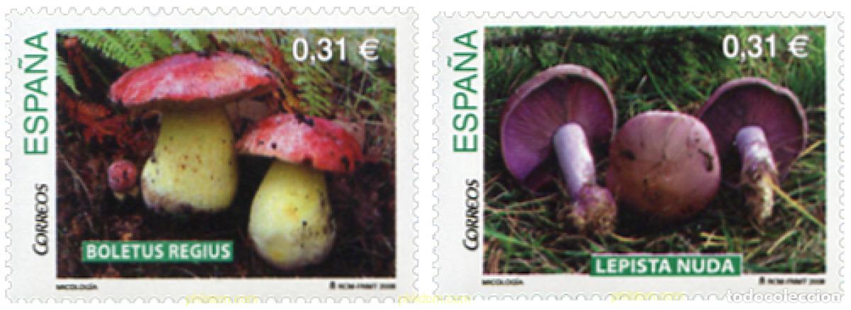 Sellos: 218196 MNH ESPA&Ntilde;A 2008 MICOLOGIA