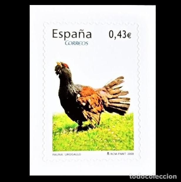 Sellos: Edifil 4467 MNH SIN FIJASELLOS sello Espa&ntilde;a 2009 Flora y Fauna Urogallo