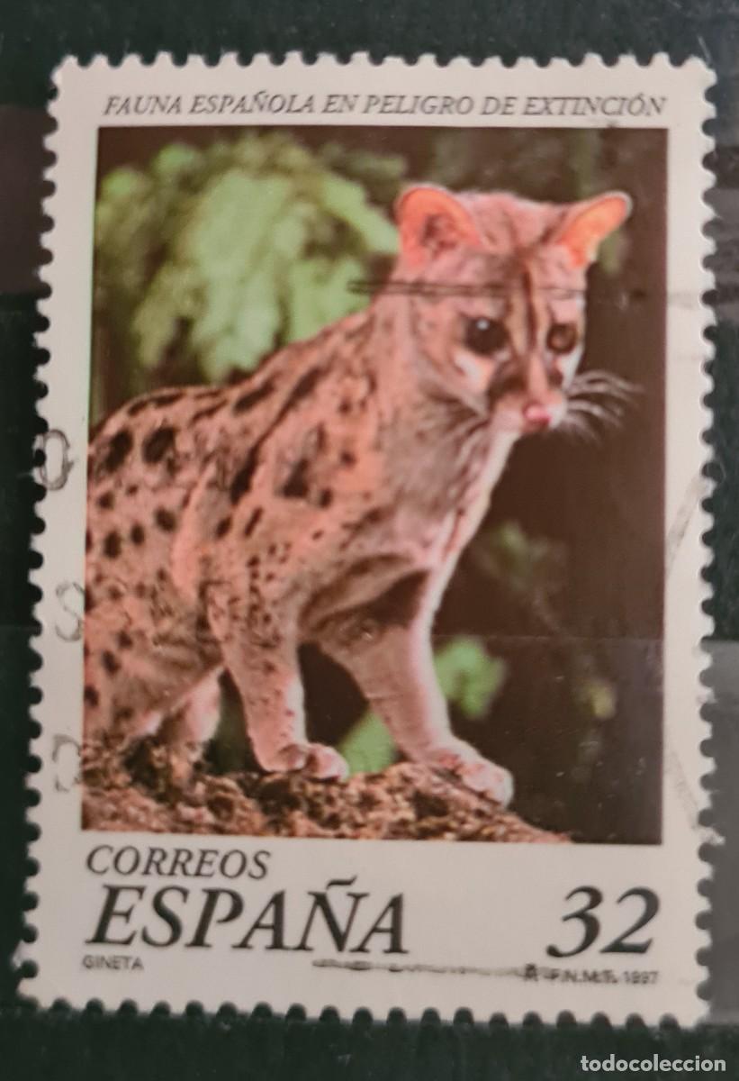 Sellos: Sello usado de Espa&ntilde;a 1996. Fauna espa&ntilde;ola: Jineta