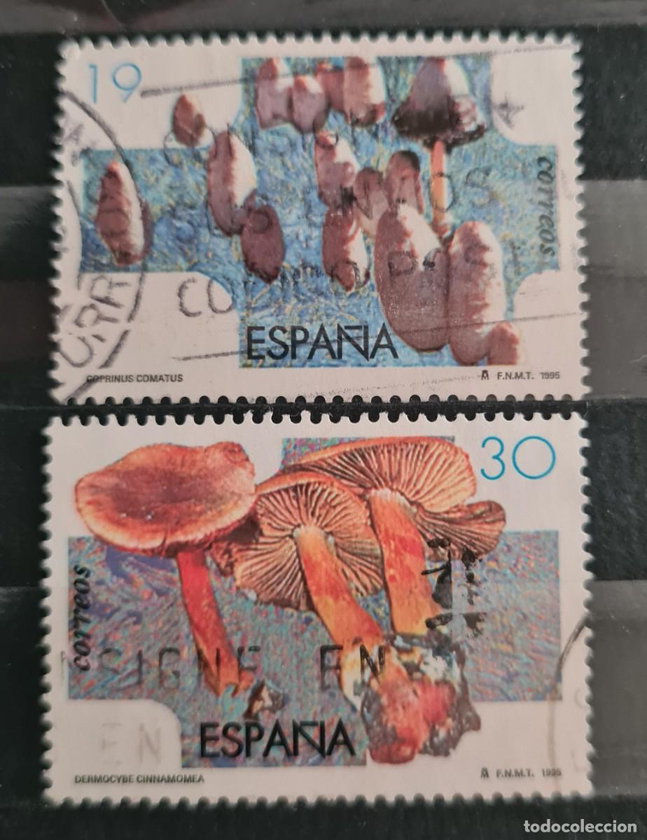 Stamps: Serie completa de sellos usados de Espa&ntilde;a 1995: Hongos