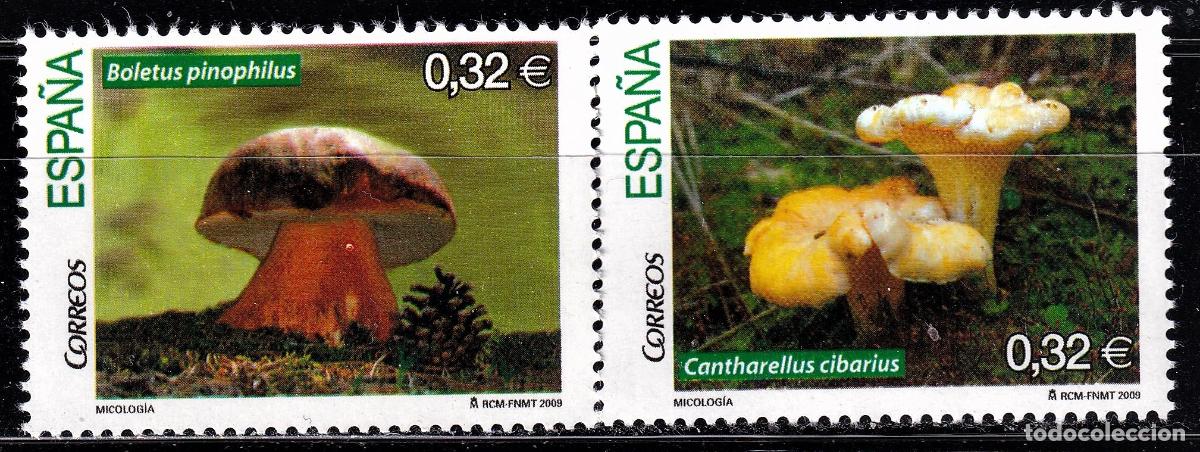Briefmarken: Oferta sellos en euros a&ntilde;o 2009 edifil 4517/18 en nuevo con gran descuento sobre facial