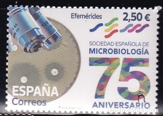 Stamps: Oferta sellos en euros a&ntilde;o 2021 edifil 5528 en nuevo