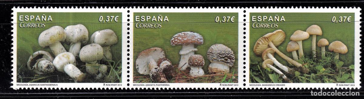 Briefmarken: Oferta sellos en euros a&ntilde;o 2013 edifil 4822/24* en nuevo