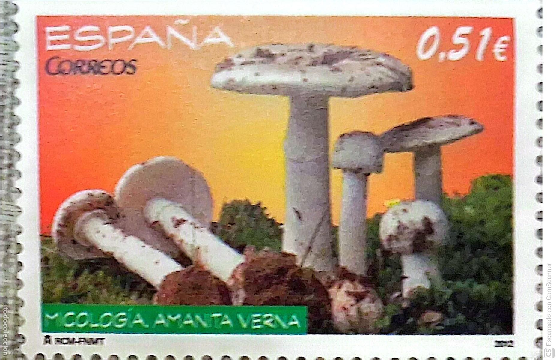 Sellos: Espa&ntilde;a. 4741 Micolog&iacute;a: Amanita verna. 2012. Sellos nuevos y numeraci&oacute;n Edifil.