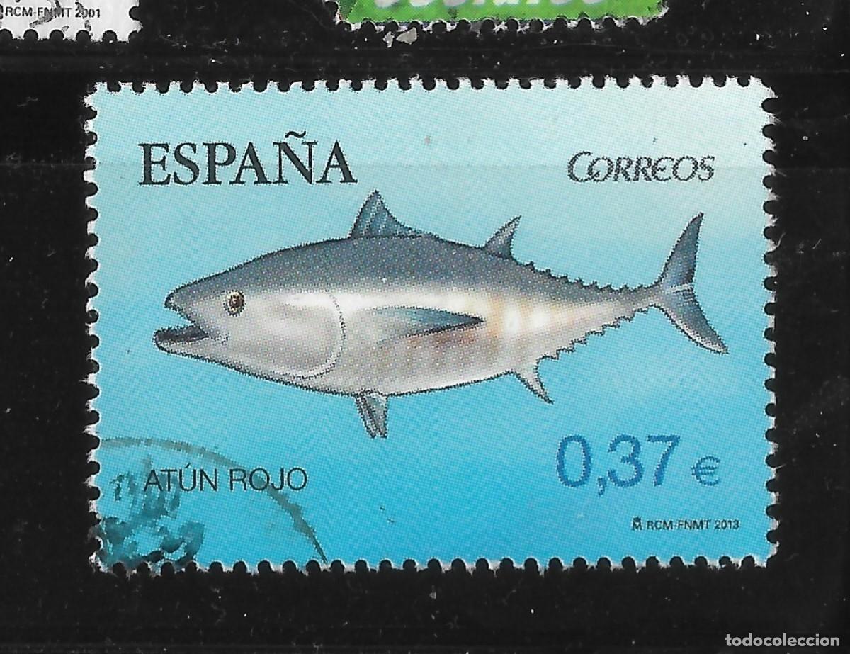 Sellos: ESPA&Ntilde;A 2013 FAUNA MARINA EDIFIL SH4799B USADO (IMAGEN)