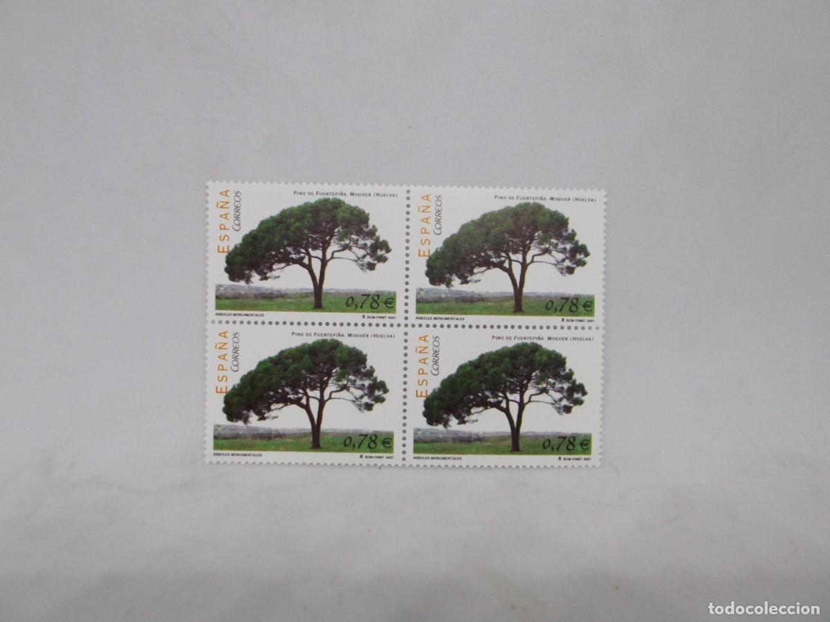 Sellos: Espa&ntilde;a 2007 Pino de Fuentepi&ntilde;a.Moguer (Huelva).Lote de cuatro nuevos