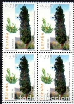 Timbres: Espa&ntilde;a. 4221 &Aacute;rboles monumentales; Cipr&eacute;s de La Anunciada, de Villafranca del Bierzo (Le&oacute;n), bloque