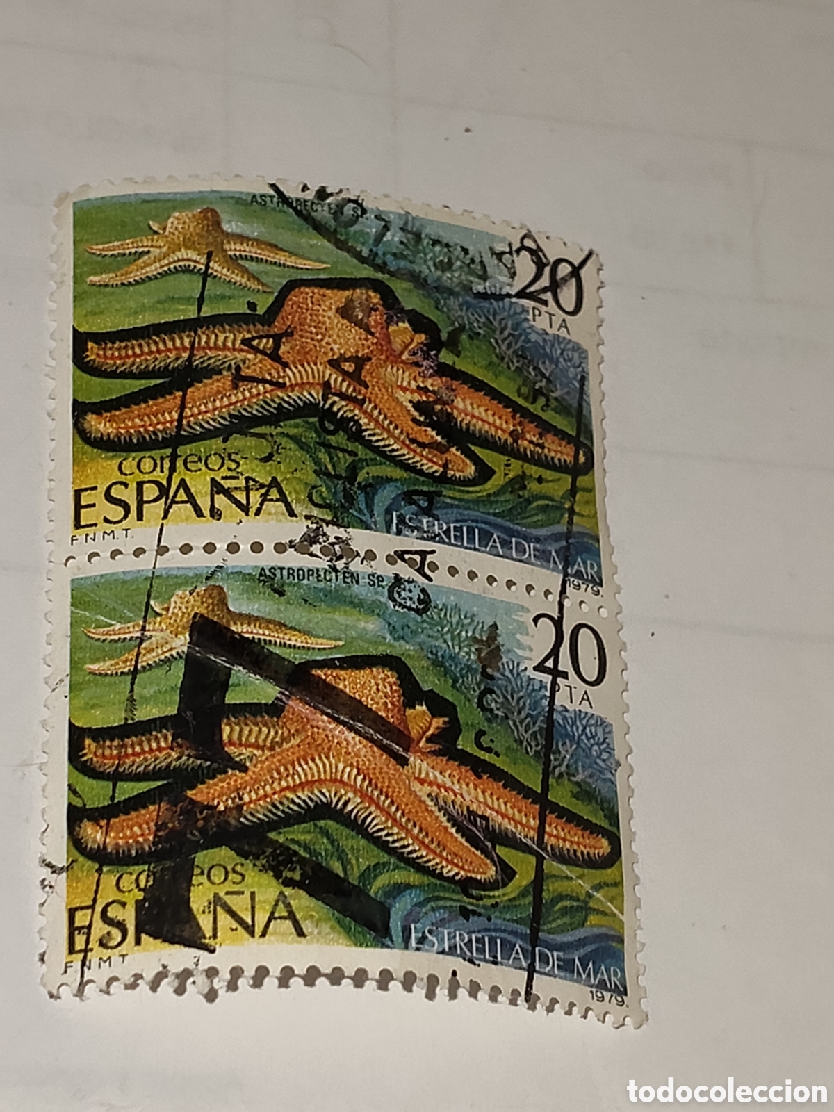 Sellos: Bloque de 2 sellos de Espa&ntilde;a Fauna Estrella de mar 1979
