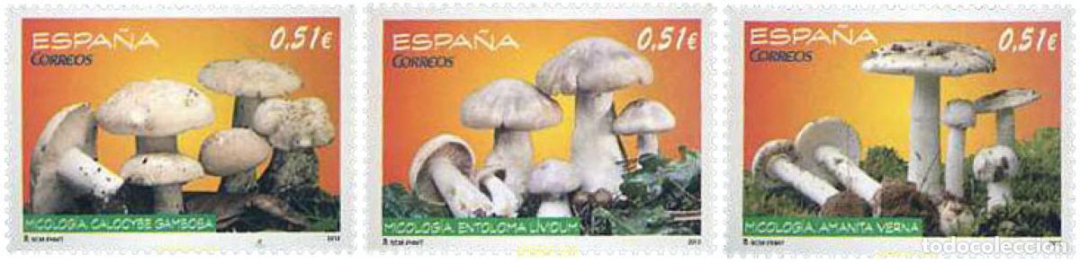 Sellos: 287328 MNH ESPA&Ntilde;A 2012 SETAS