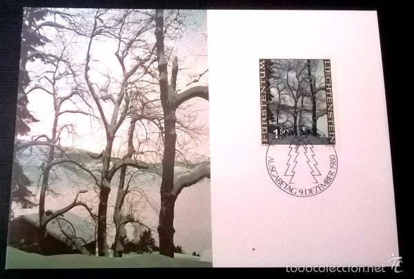 Sellos: TARJETA MAXIMA  LIECHTENSTEIN 5 - Foto 1