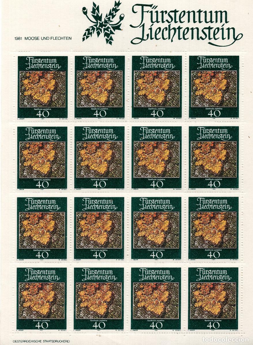 Sellos: LIECHTENSTEIN 1981 MINI-SHEET MICHEL LI 776