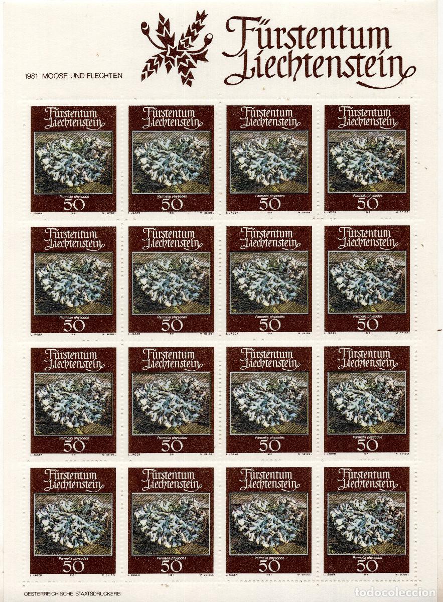 Sellos: LIECHTENSTEIN 1981 MINI-SHEET MICHEL LI 777