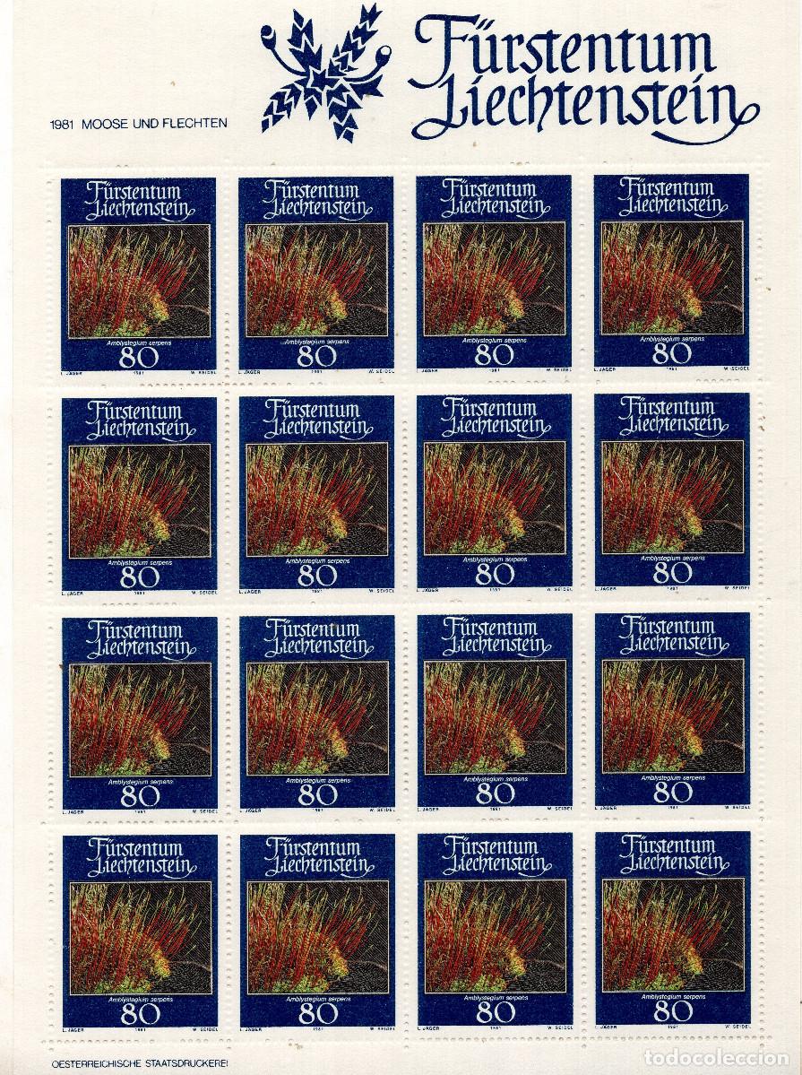 Sellos: LIECHTENSTEIN 1981 MINI-SHEET MICHEL LI 779