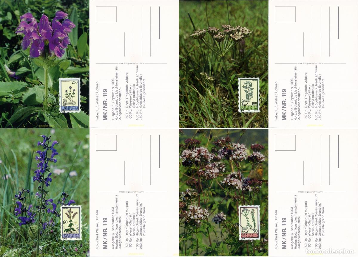 Sellos: 285284 MNH LIECHTENSTEIN 1993 FLORES DEL JARDIN BOTANICO DE LIECHTENSTEIN