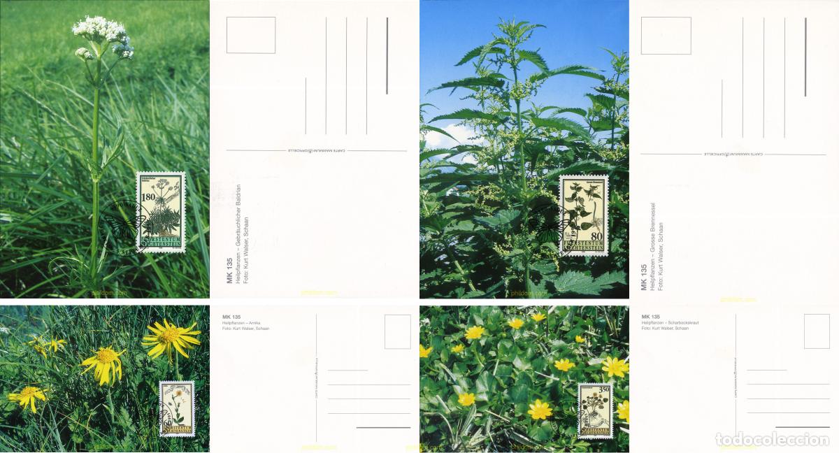 Selos: 285282 MNH LIECHTENSTEIN 1995 PLANTAS MEDICINALES