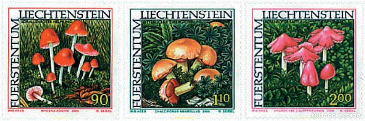 Sellos: 81299 MNH LIECHTENSTEIN 2000 SETAS