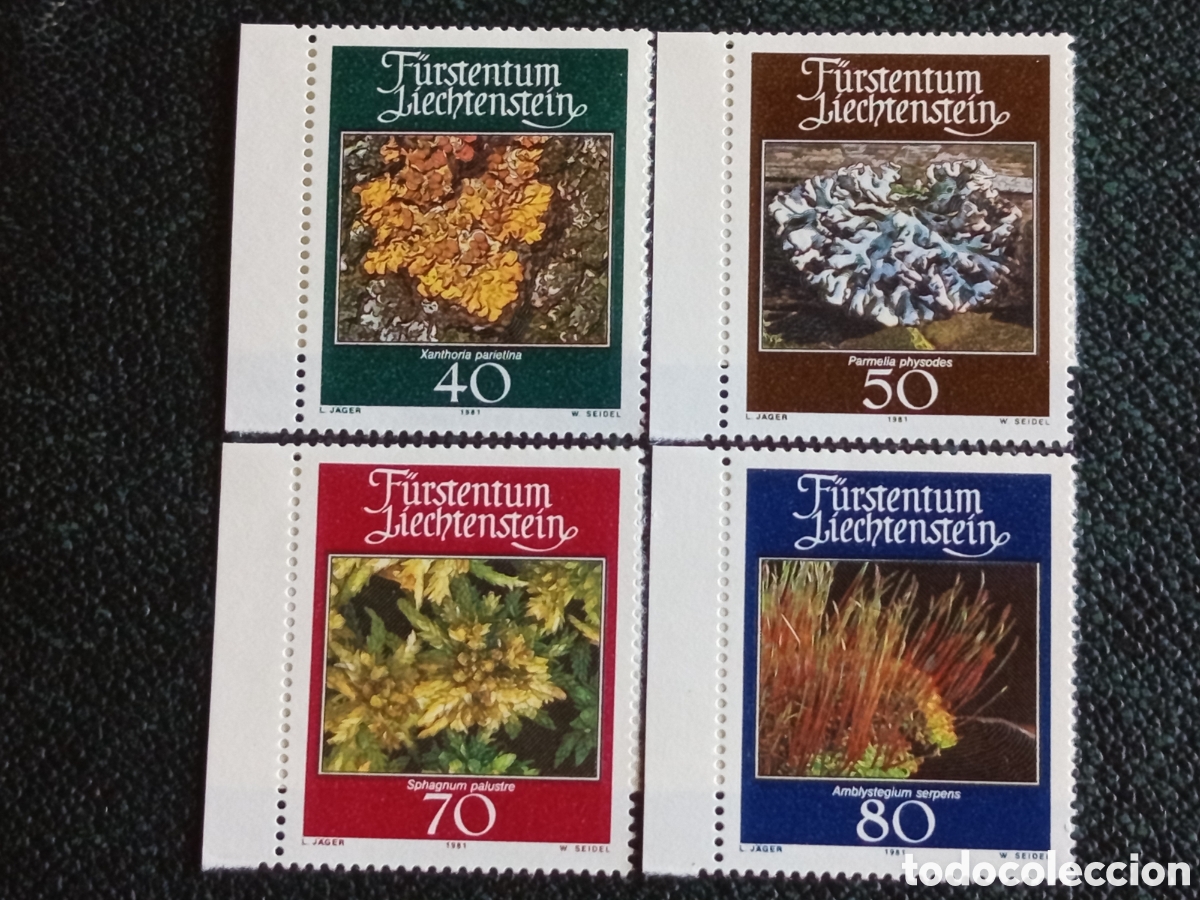 Sellos: Serie Completa Liechtenstein 1981 Musgos L&iacute;quenes Yvert 717/720 MNH