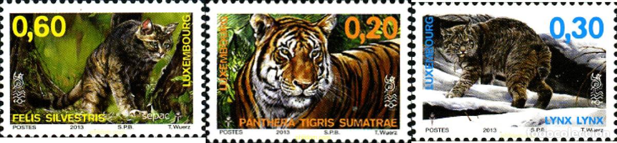 Sellos: 307465 MNH LUXEMBURGO 2013 FELINOS