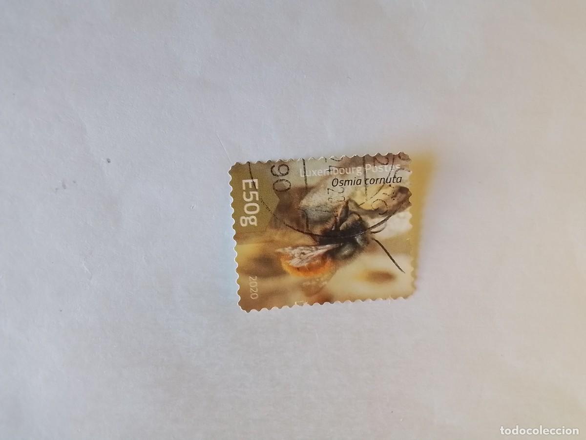 Sellos: A&Ntilde;O 2020 LUXEMBURGO SELLO USADO