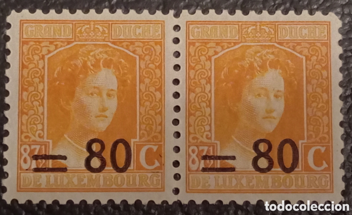Sellos: Luxemburgo 1915 - Serie Gran Duquesa Mar&iacute;a Adelaida - Cat. Michel 118 MNH (Pareja)