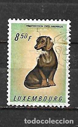 Sellos: 1961: Protecci&oacute;n de la naturaleza - Dachshund (usado)