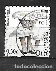 Sellos: 2004: Setas de Luxemburgo - Hongo molinera (usado) autoadhesivo