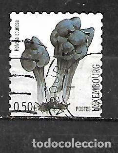 Sellos: 2004: Setas de Luxemburgo - Oreja de gato (usado) autoadhesivo
