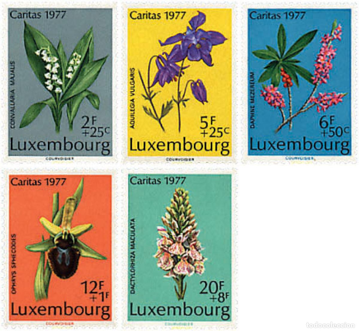 Sellos: 97516 MNH LUXEMBURGO 1977 CARITAS. FLORES PROTEGIDAS