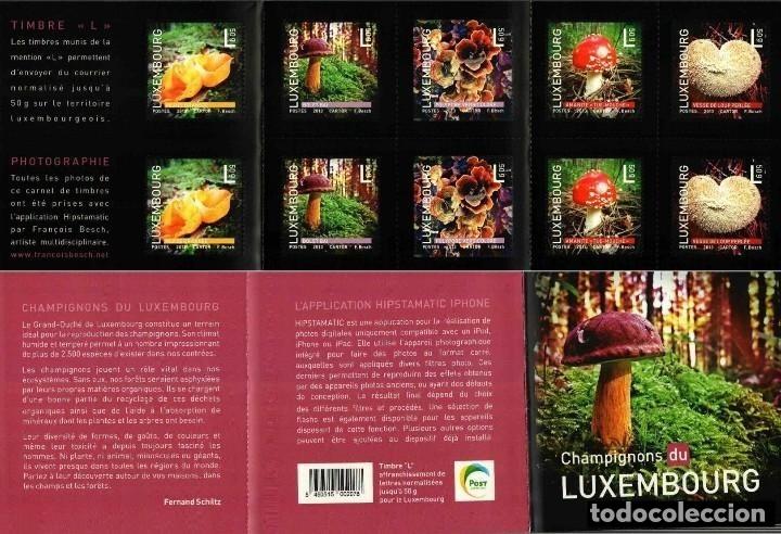 Sellos: LUXEMBURGO 2013 - - LUXEMBOURG - SETAS - MUSHROOMS - CHAMPIGNONS - PILZE - CARNET DE 10 SELLOS