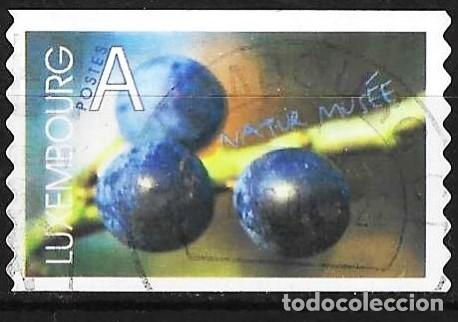 Stamps: Luxemburgo 2002 - Mi 1588 - YT 1538 - Frutas : Prunelas