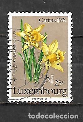 Sellos: 1976: Caritas. Orqu&iacute;deas - Narcissus pseudonarcissus (usado)