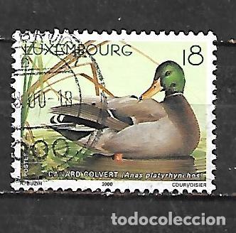 Sellos: 2000: Patos - &Aacute;nade real (usado)