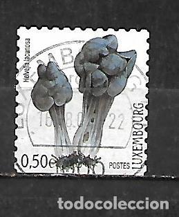 Sellos: 2004: Setas de Luxemburgo - Oreja de gato (usado) autoadhesivo