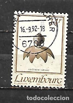 Sellos: 1991: Setas - Geastrum varians (usado)